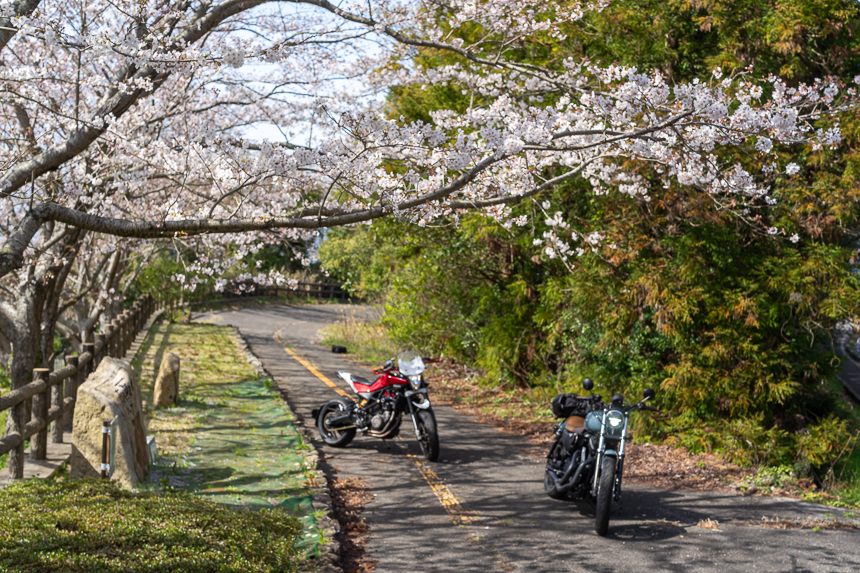 使われなくなった道路に並べたバイク