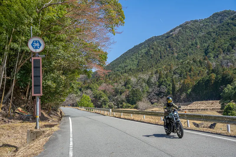 兵庫県道36号線を走るスポーツスター