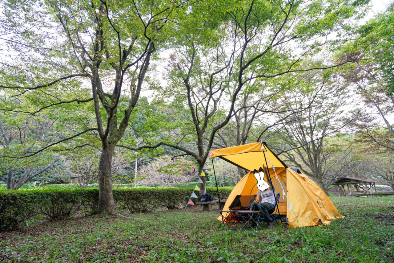 新居浜市市民の森キャンプ場のカゲ美