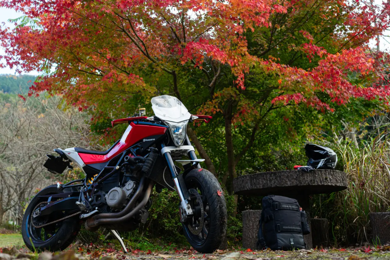 モミジとNUDA900R