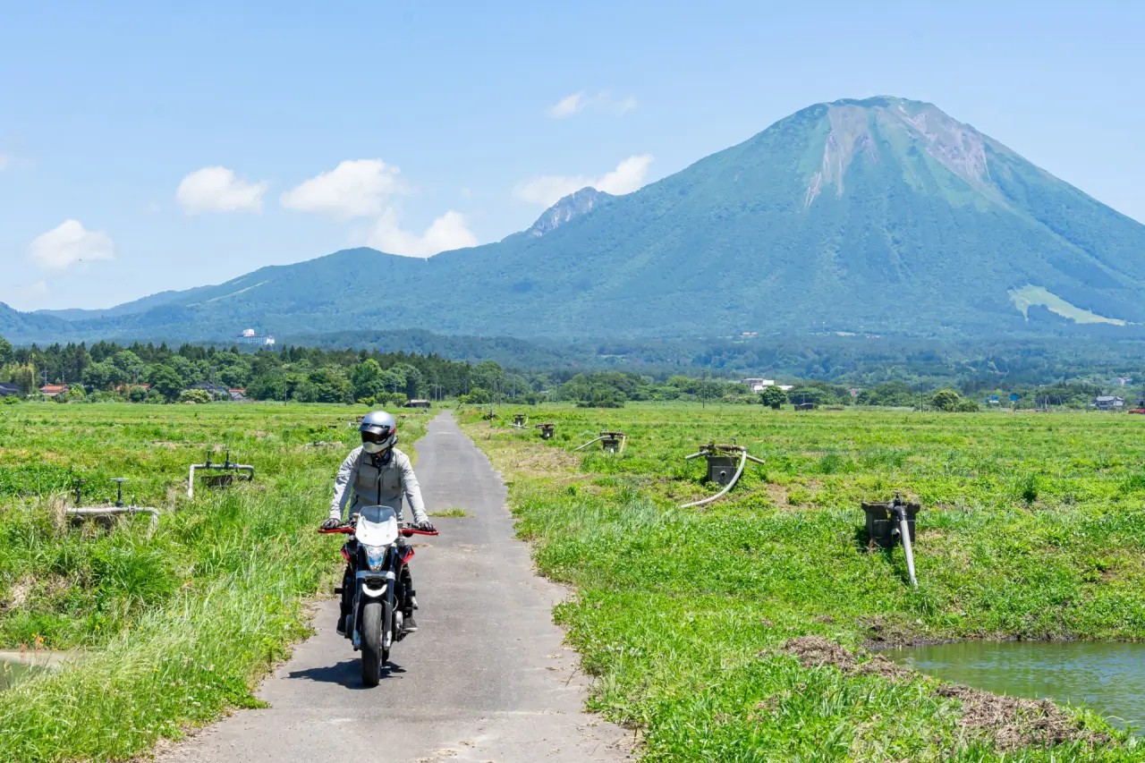 大山とカゲ太