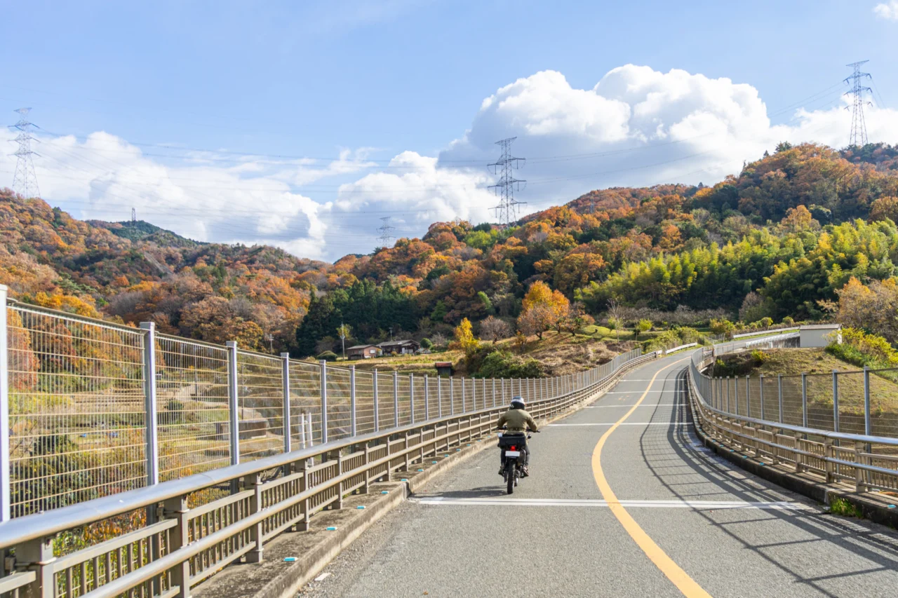 バイク神社大阪のすぐそばを走る南河内フルーツロード・グリーンロード