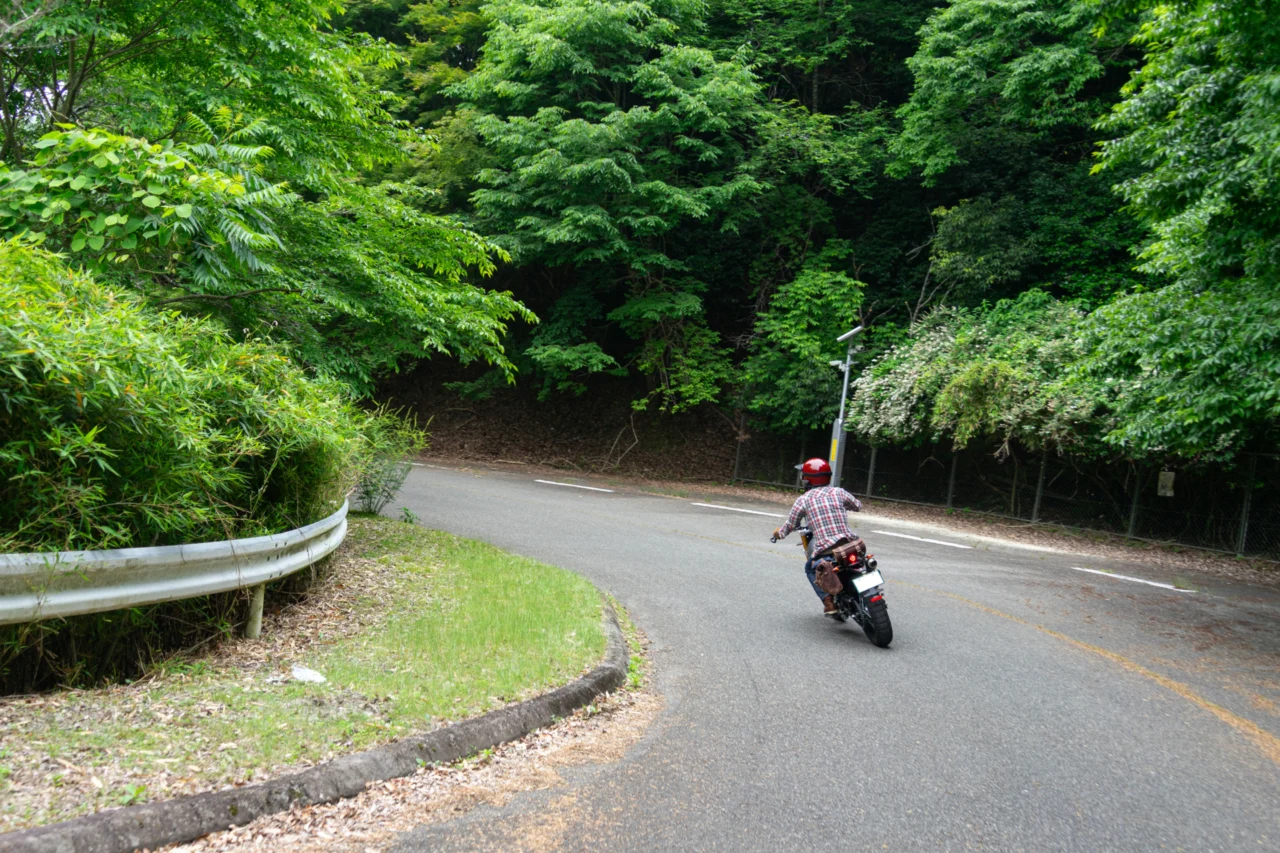 知明湖展望台の道