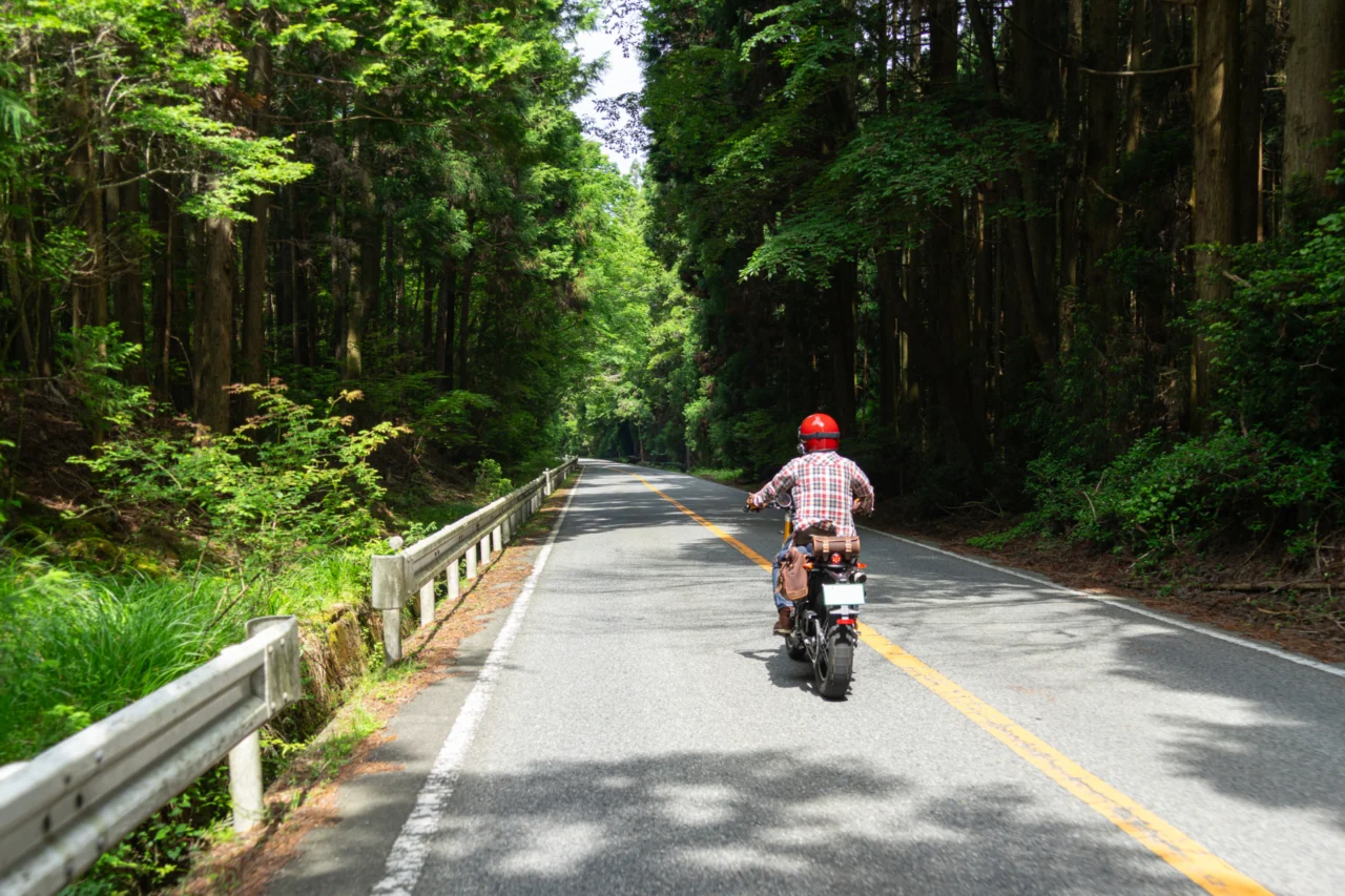 快走＋ワインディング｜猪名川渓谷ライン