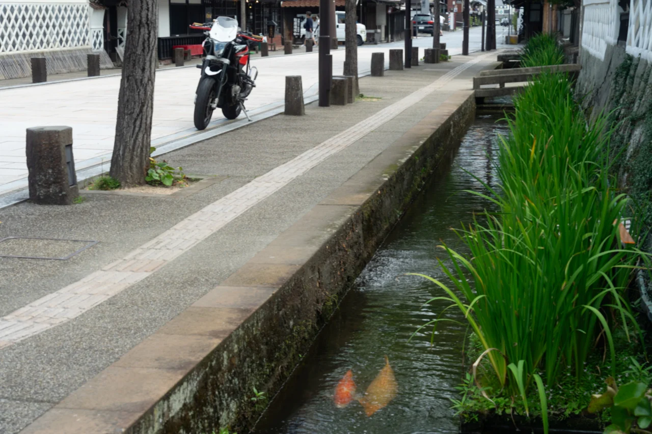 鯉が泳ぐ白壁の散策路｜津和野 殿町通り