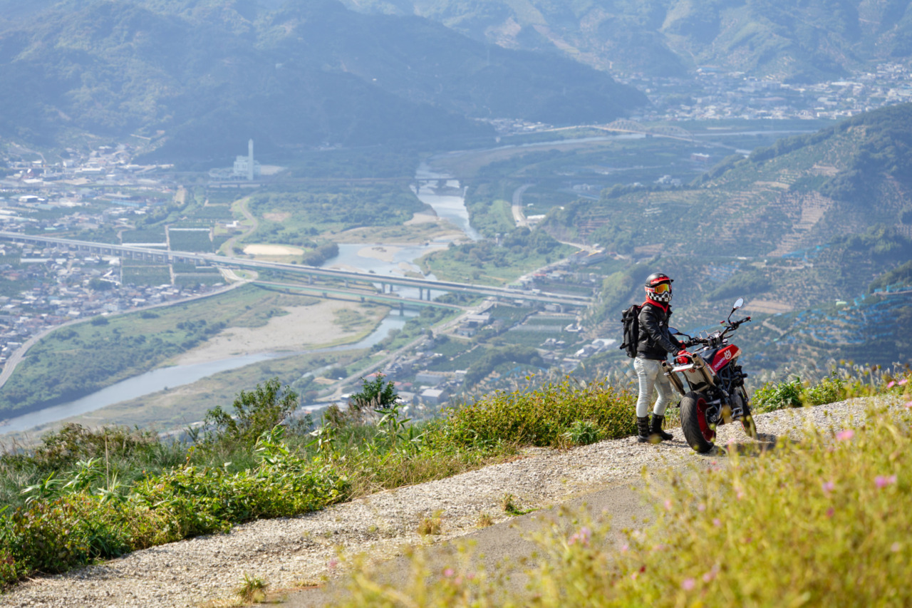 有田の大パノラマ｜鷲ヶ峰コスモスパーク