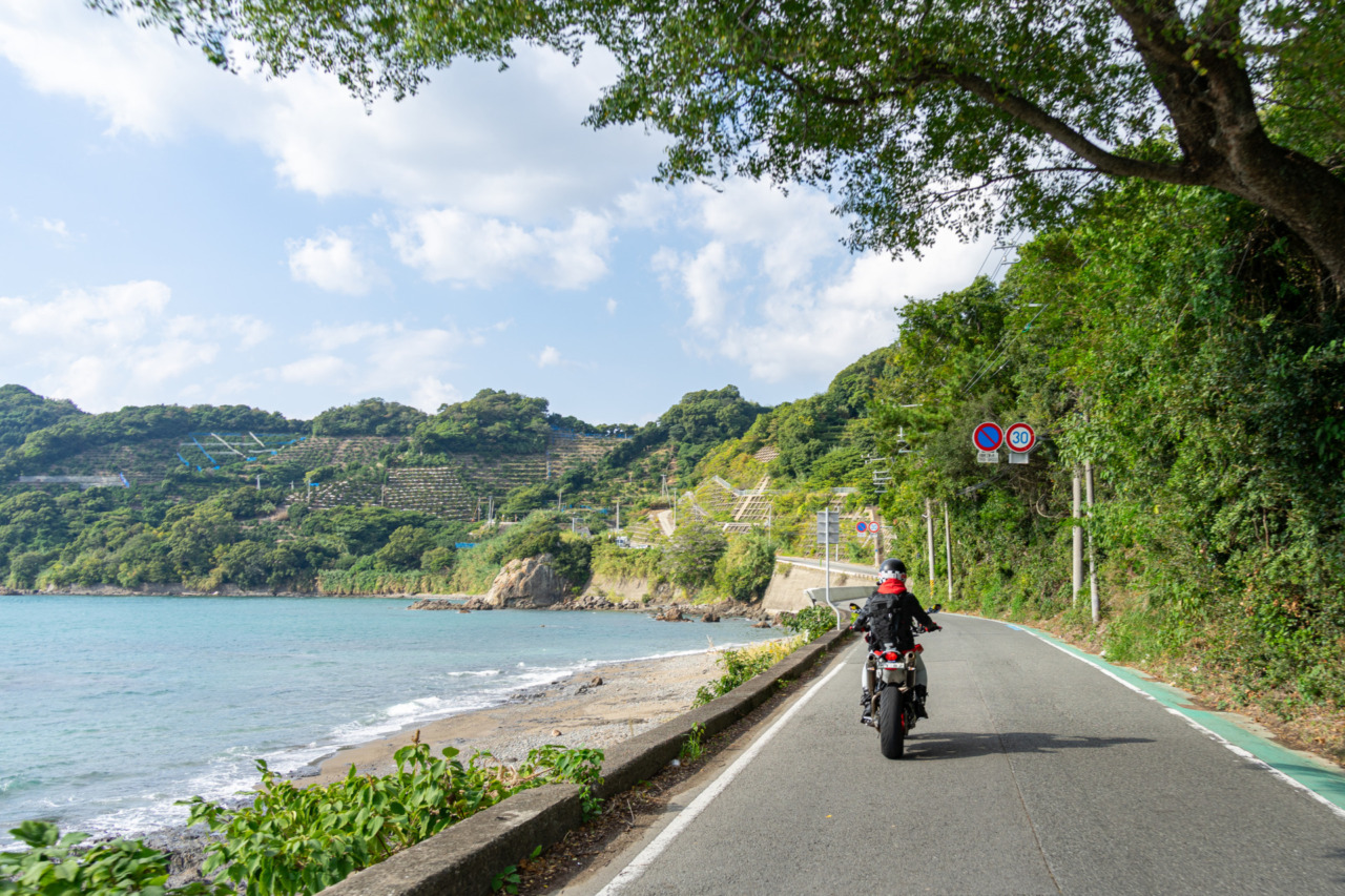 有田みかん海道へと続く道