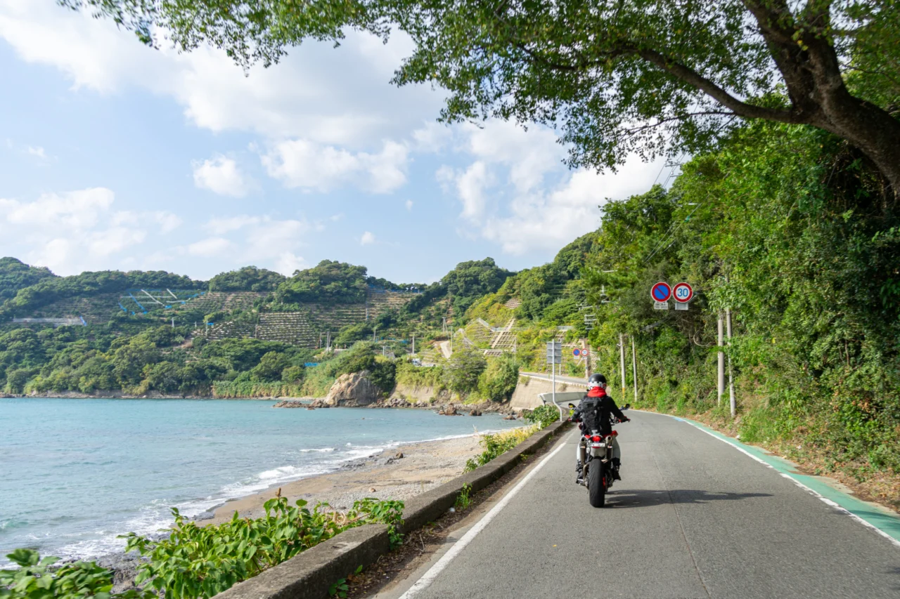 有田みかん海道へと続く道