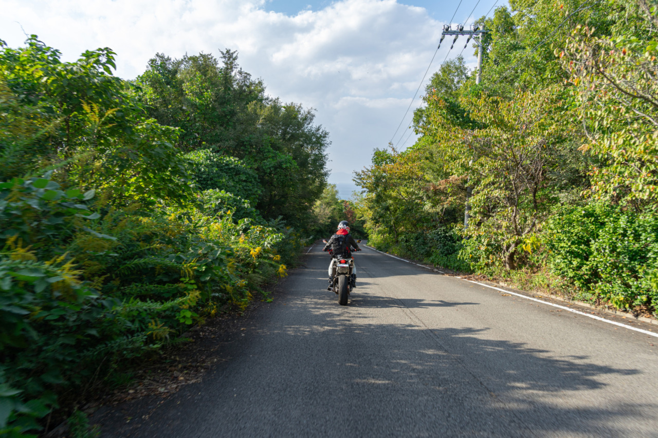 絶景ご馳走ロード｜有田みかん海道