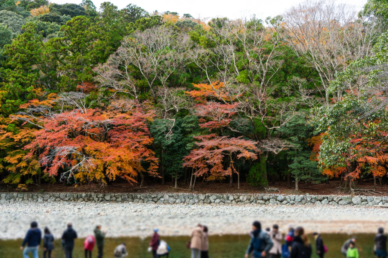 伊勢神宮の五十鈴川