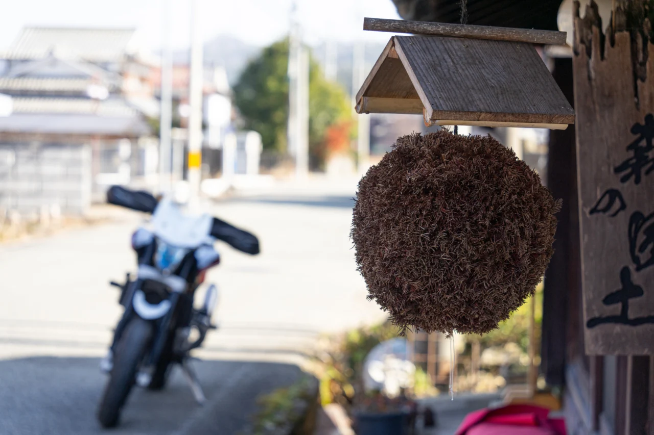 福住伝建地区の杉玉