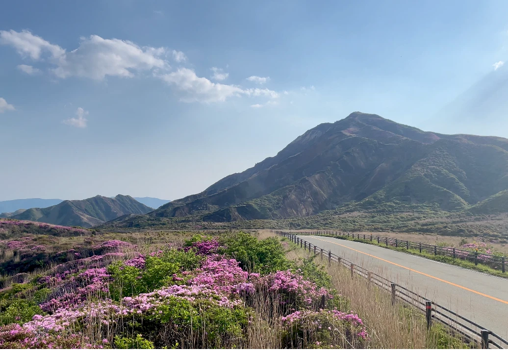 全国ドライブスルー花見ロード】バイクで走りながら楽しむ春の花見