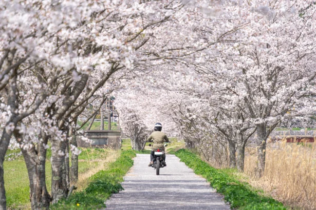 【2026年版】春ツーリング完全ガイド｜準備・服装・おすすめルートを旅ライダーが厳選