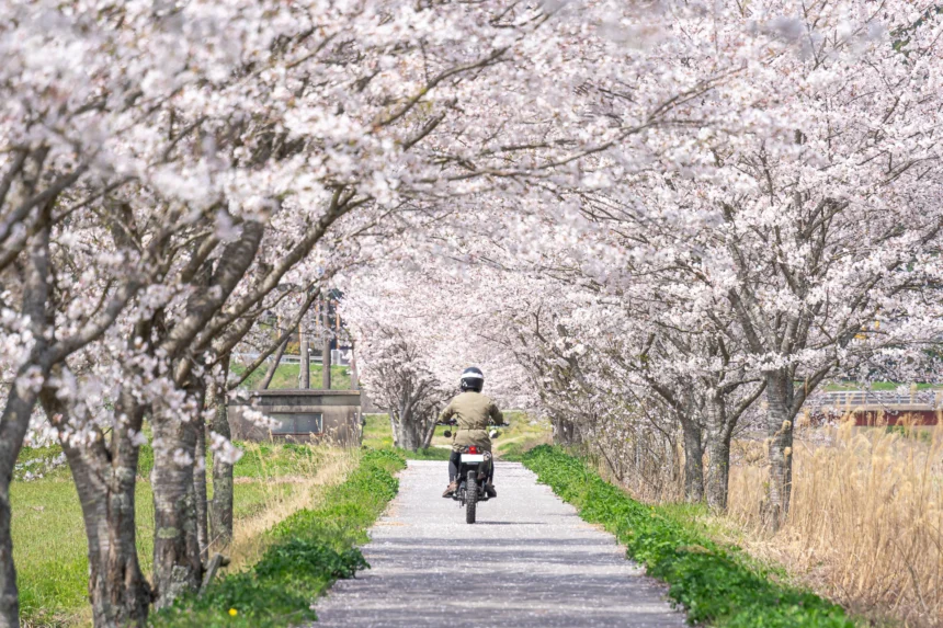 【2026年版】春ツーリング完全ガイド|準備・服装・おすすめルートを旅ライダーが厳選