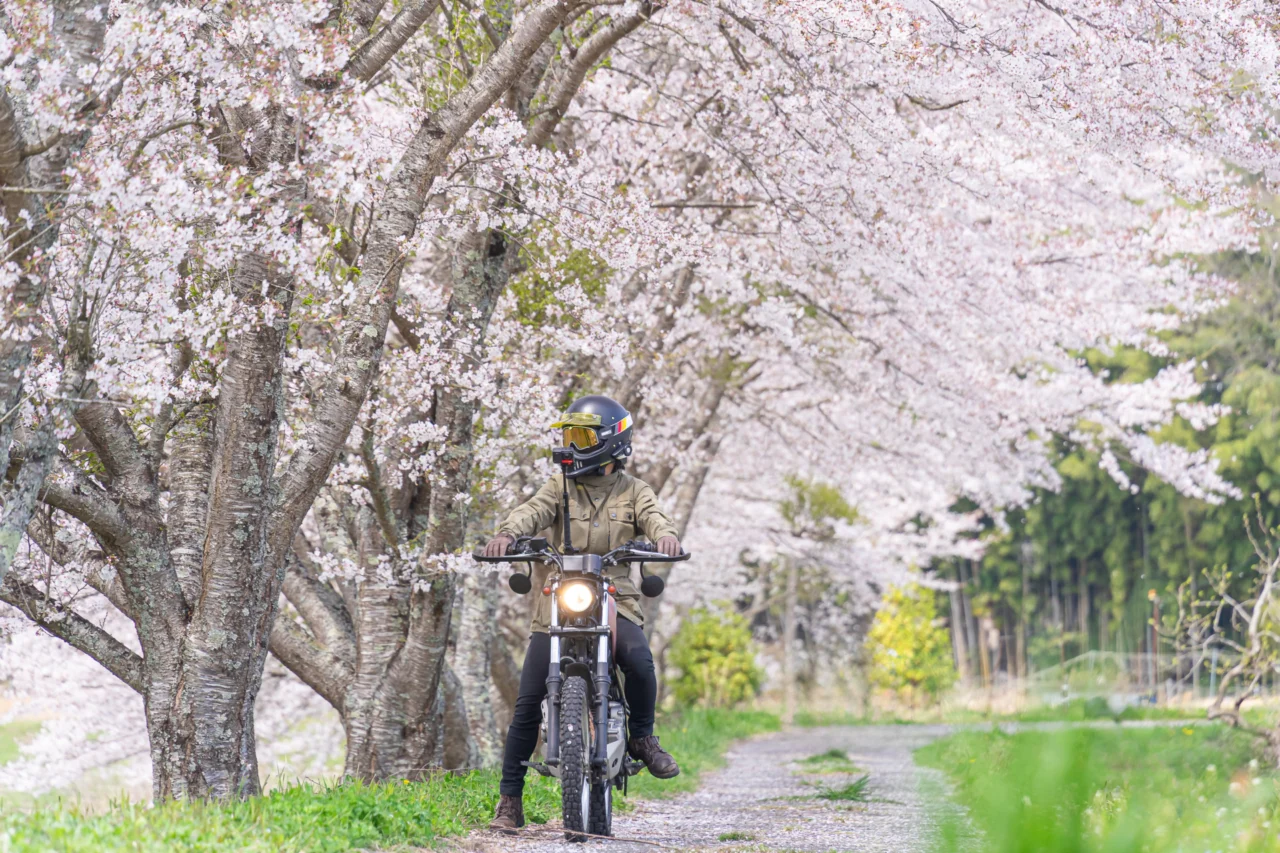春本番を駆け抜ける絶景ツーリング